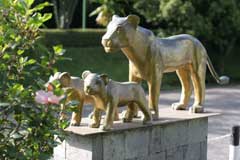 Lion with Cubs